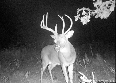 Norris Road Red Oak OK 74563