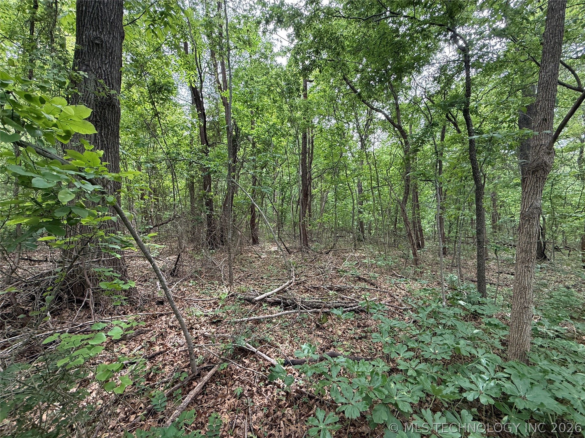 1920 Holiday Lane Eufaula OK 74432