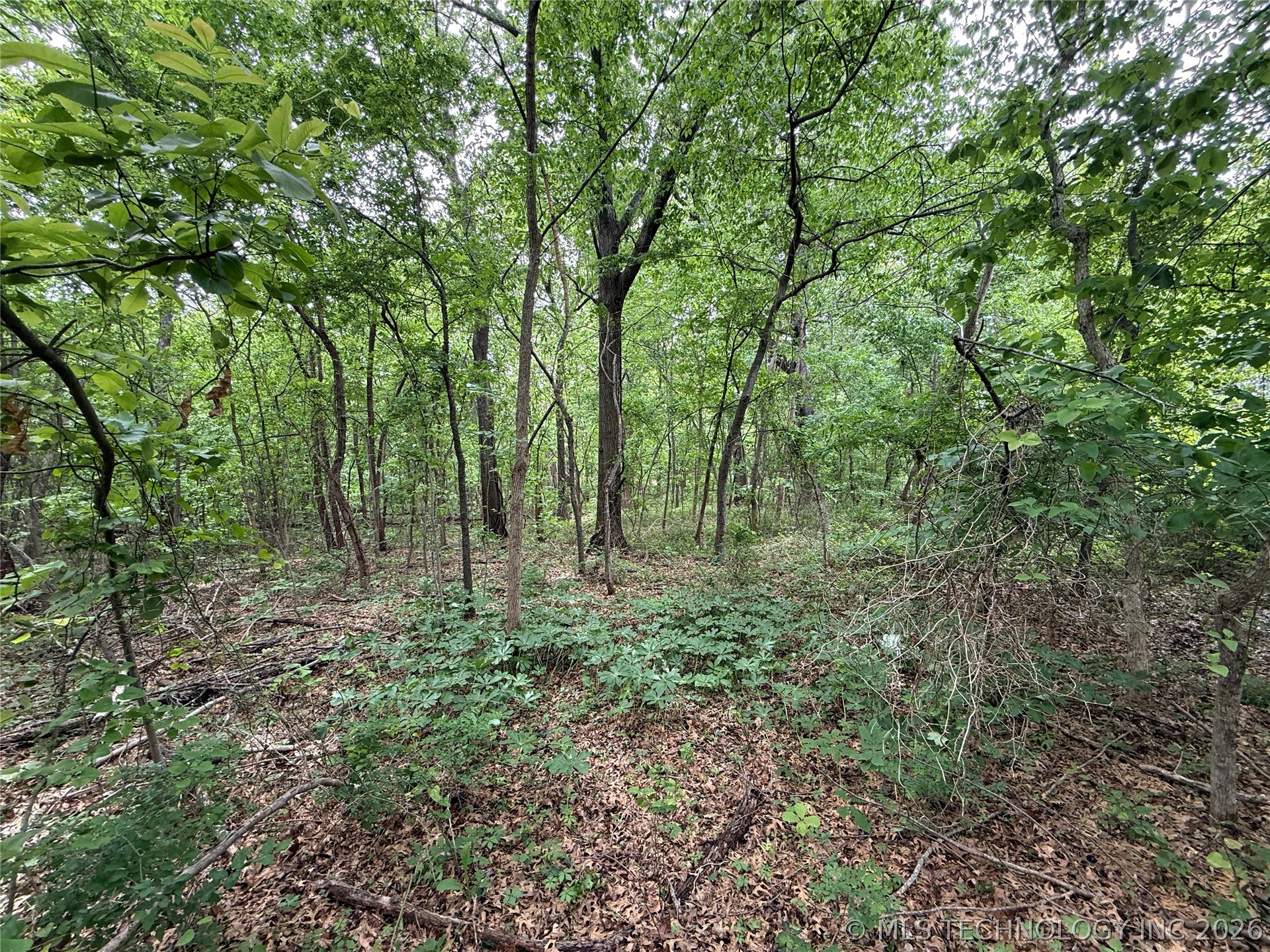 1920 Holiday Lane Eufaula OK 74432