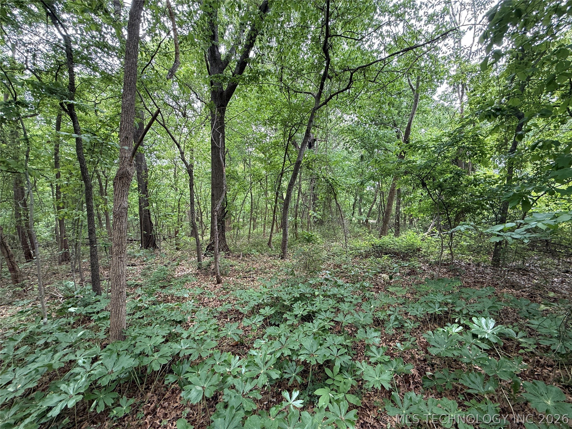 1920 Holiday Lane Eufaula OK 74432