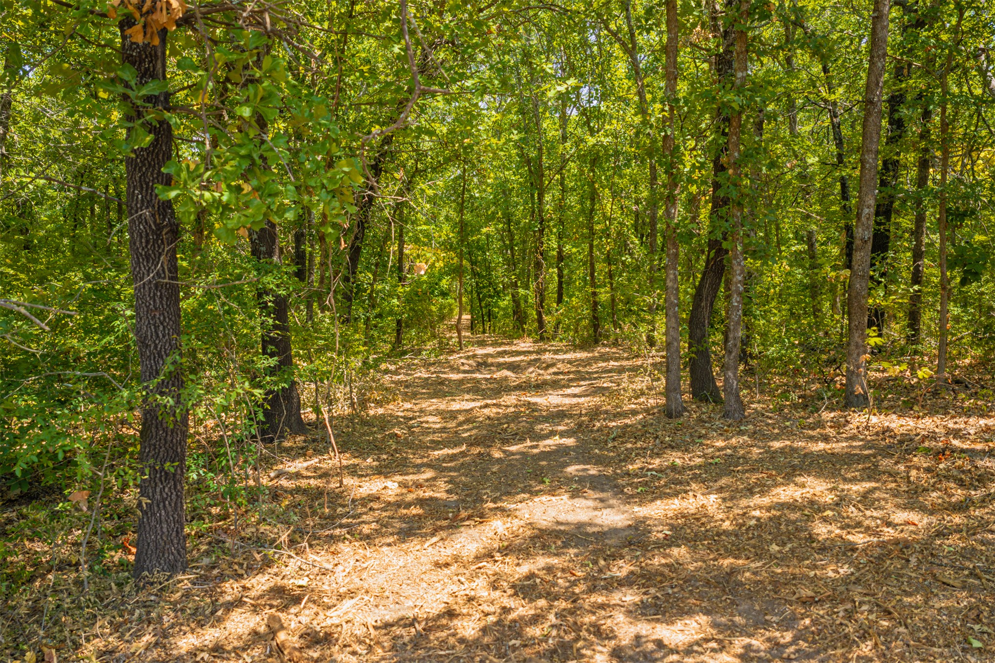 003 N 364 Road Wewoka OK 74884