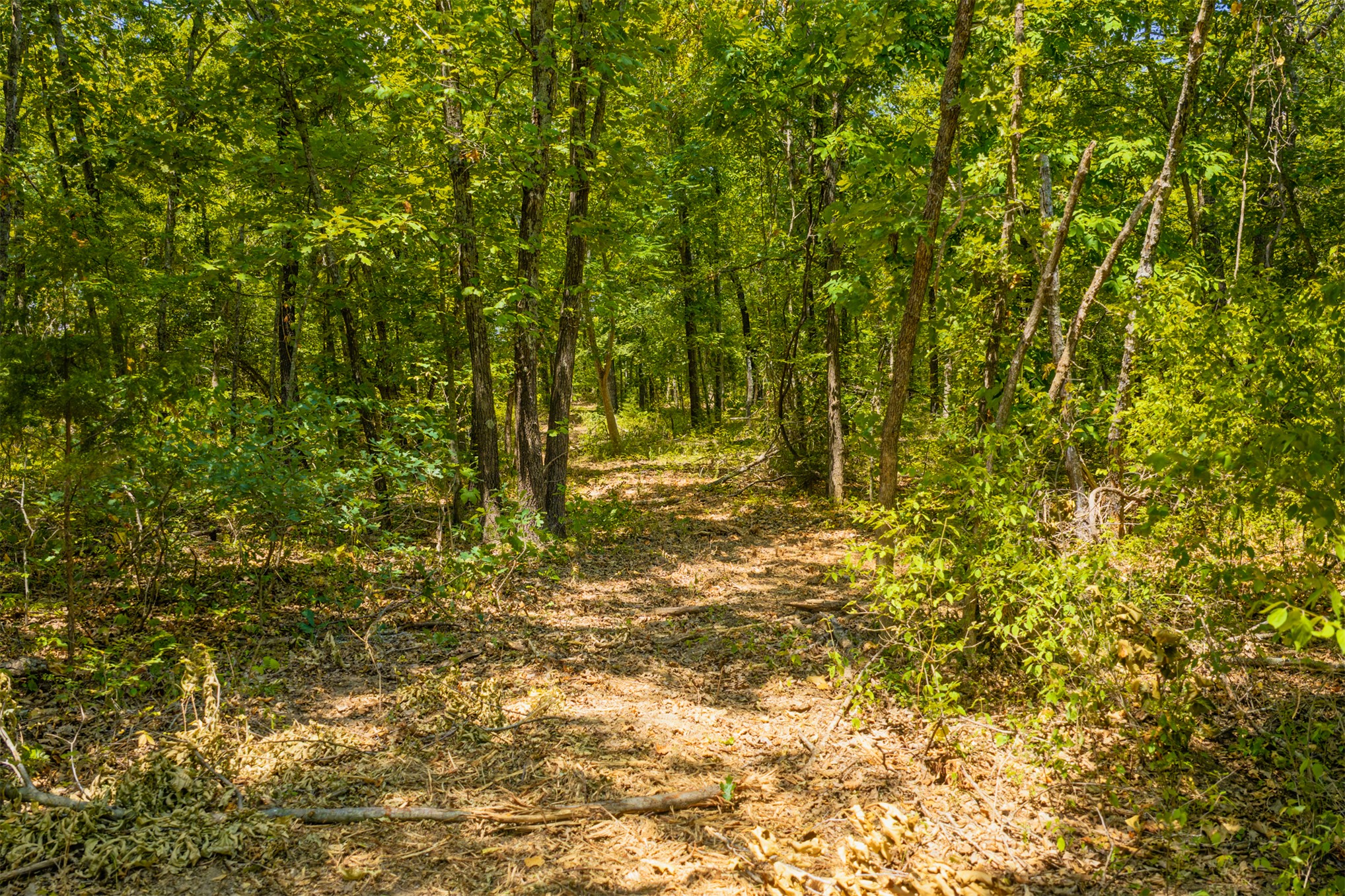 003 N 364 Road Wewoka OK 74884
