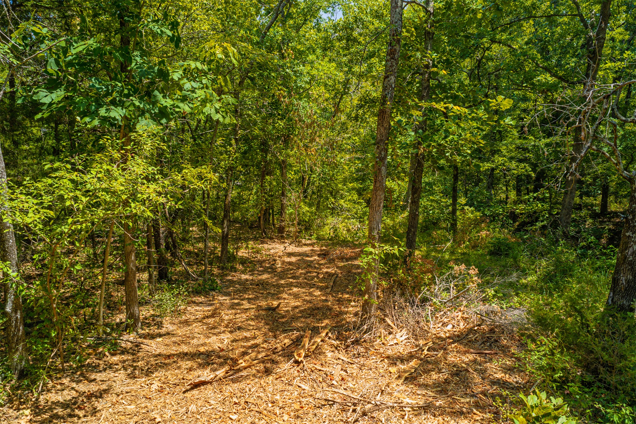 003 N 364 Road Wewoka OK 74884