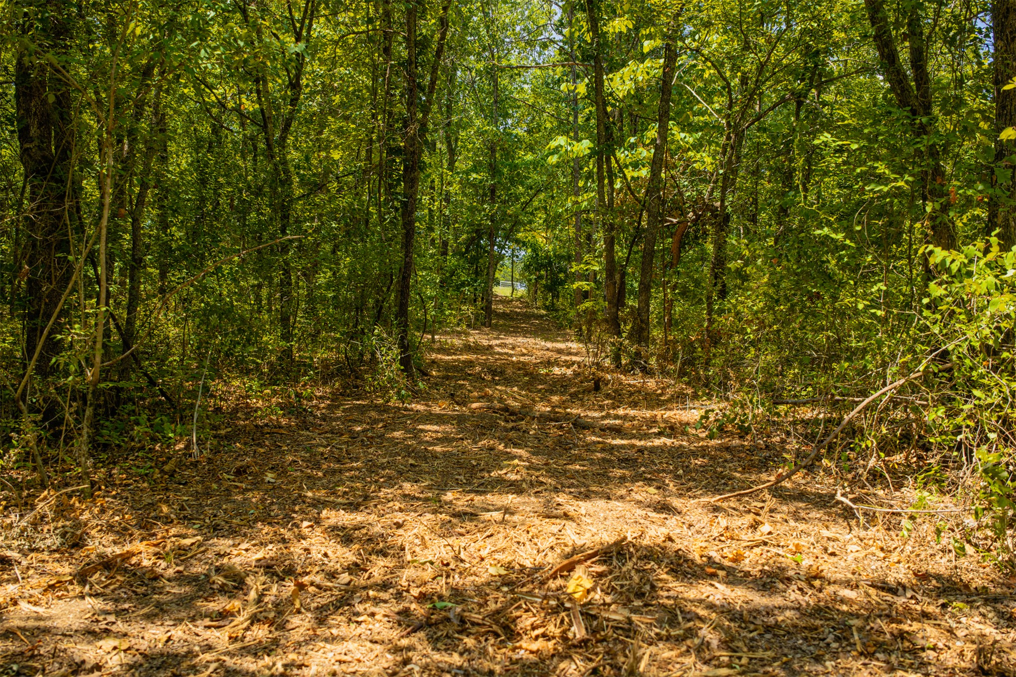 003 N 364 Road Wewoka OK 74884