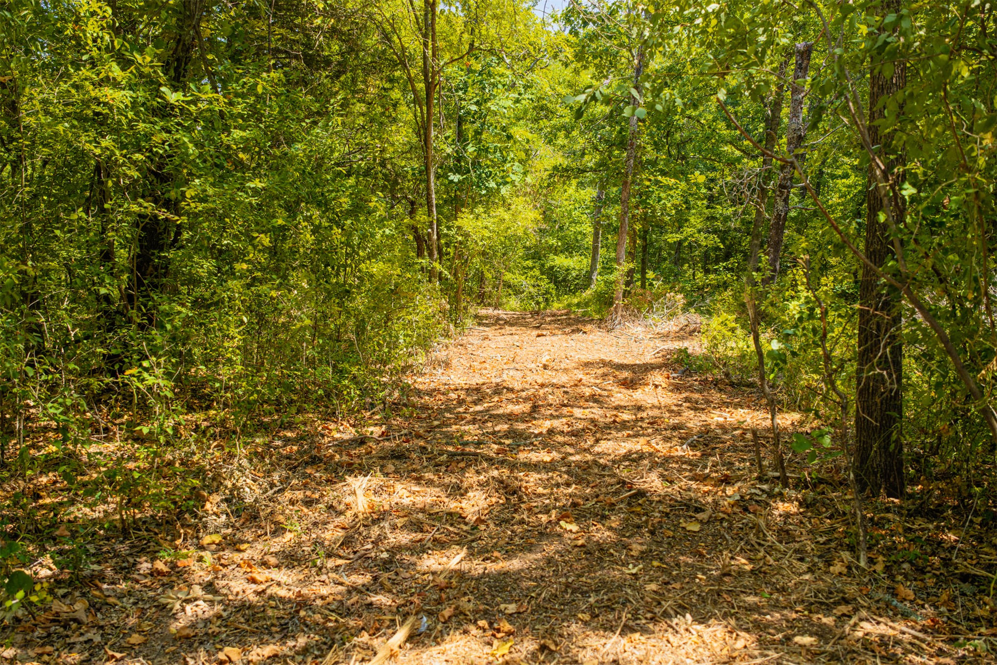 003 N 364 Road Wewoka OK 74884