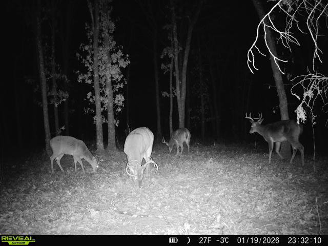 003 N 364 Road Wewoka OK 74884