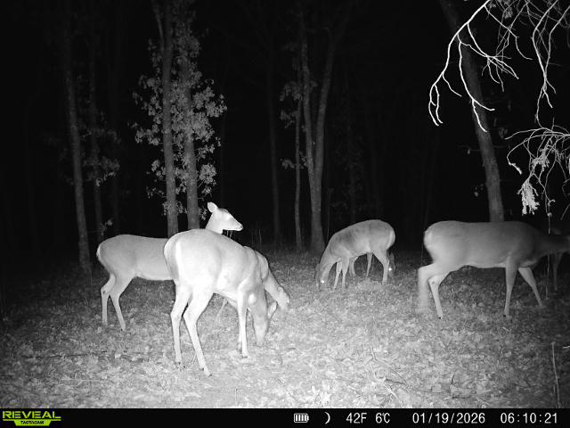 003 N 364 Road Wewoka OK 74884