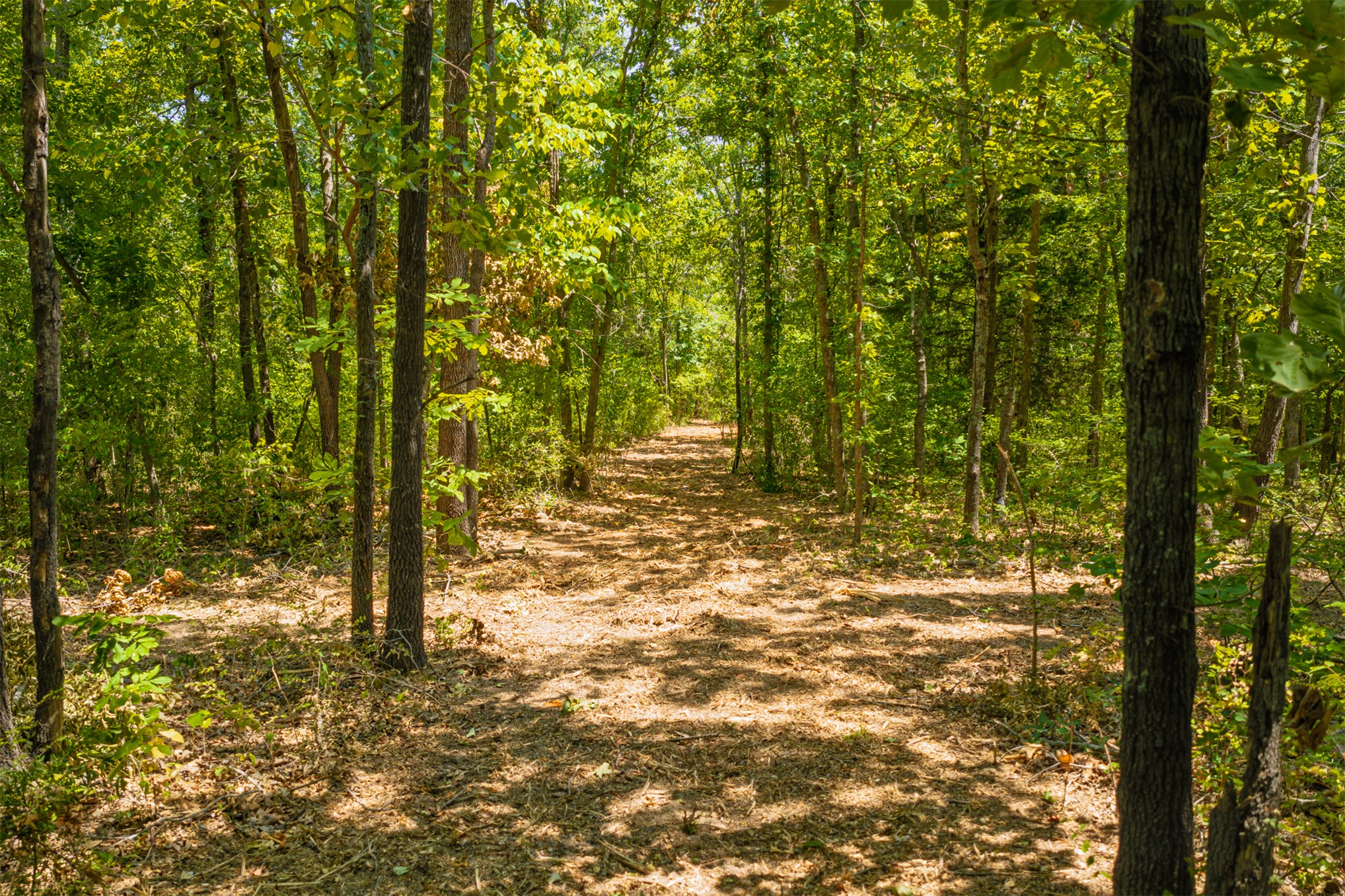 003 N 364 Road Wewoka OK 74884