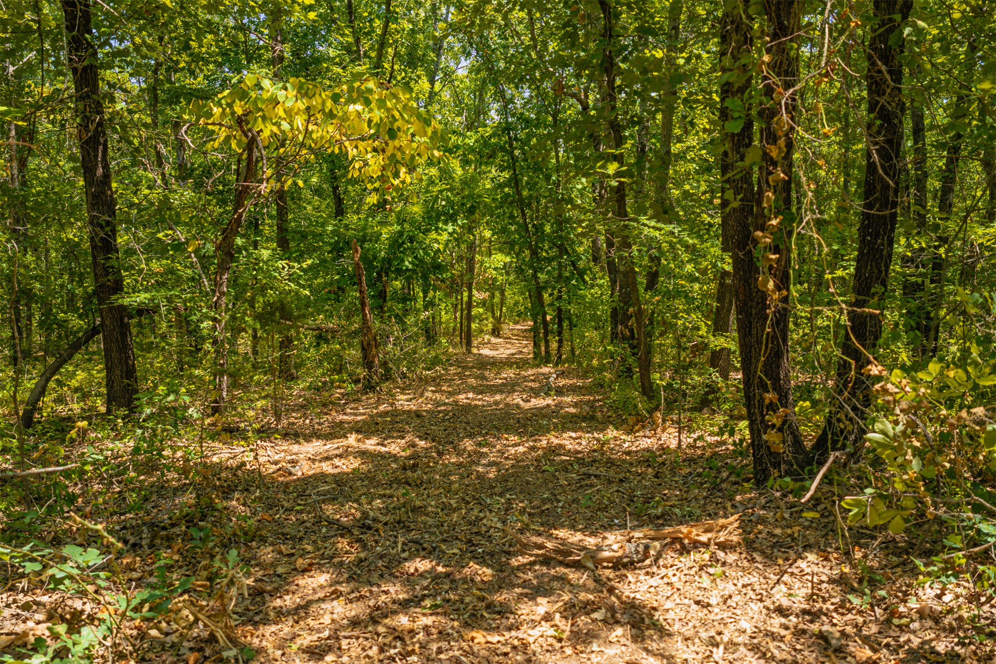 003 N 364 Road Wewoka OK 74884