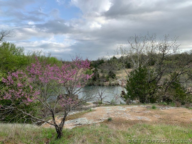 6 Brandy Lane Tishomingo OK 73460