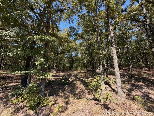 6 Brandy Lane Tishomingo OK 73460