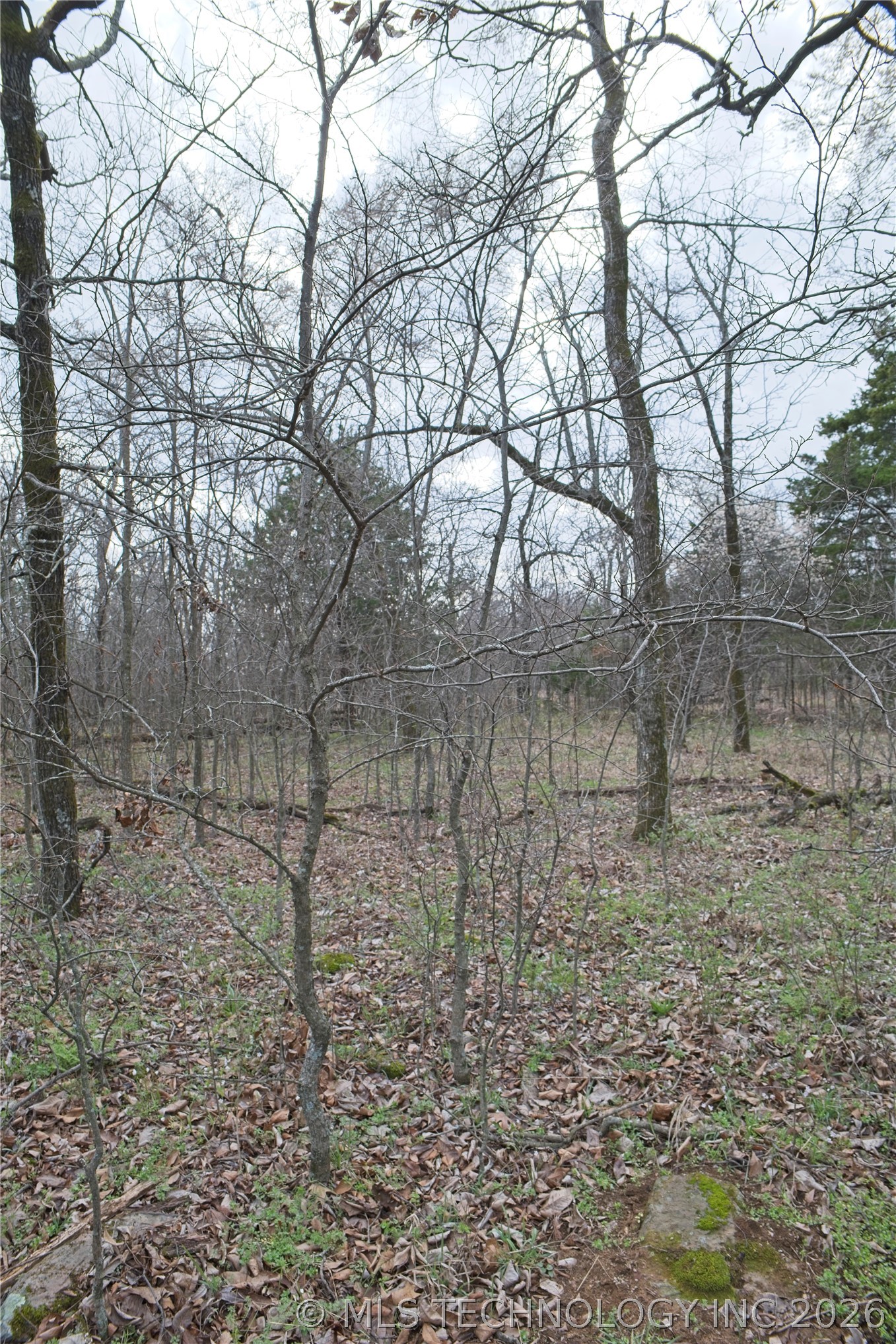 S 4549 Road Vian OK 74962