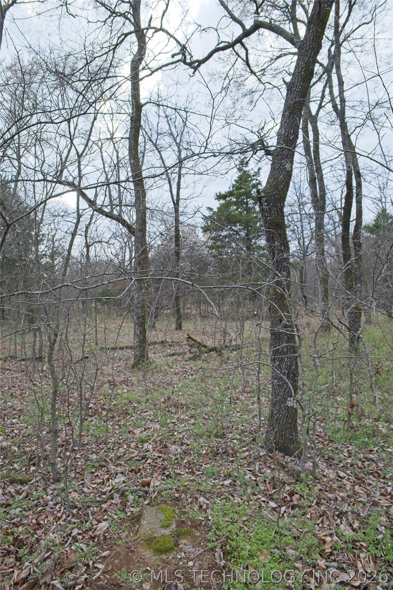 S 4549 Road Vian OK 74962