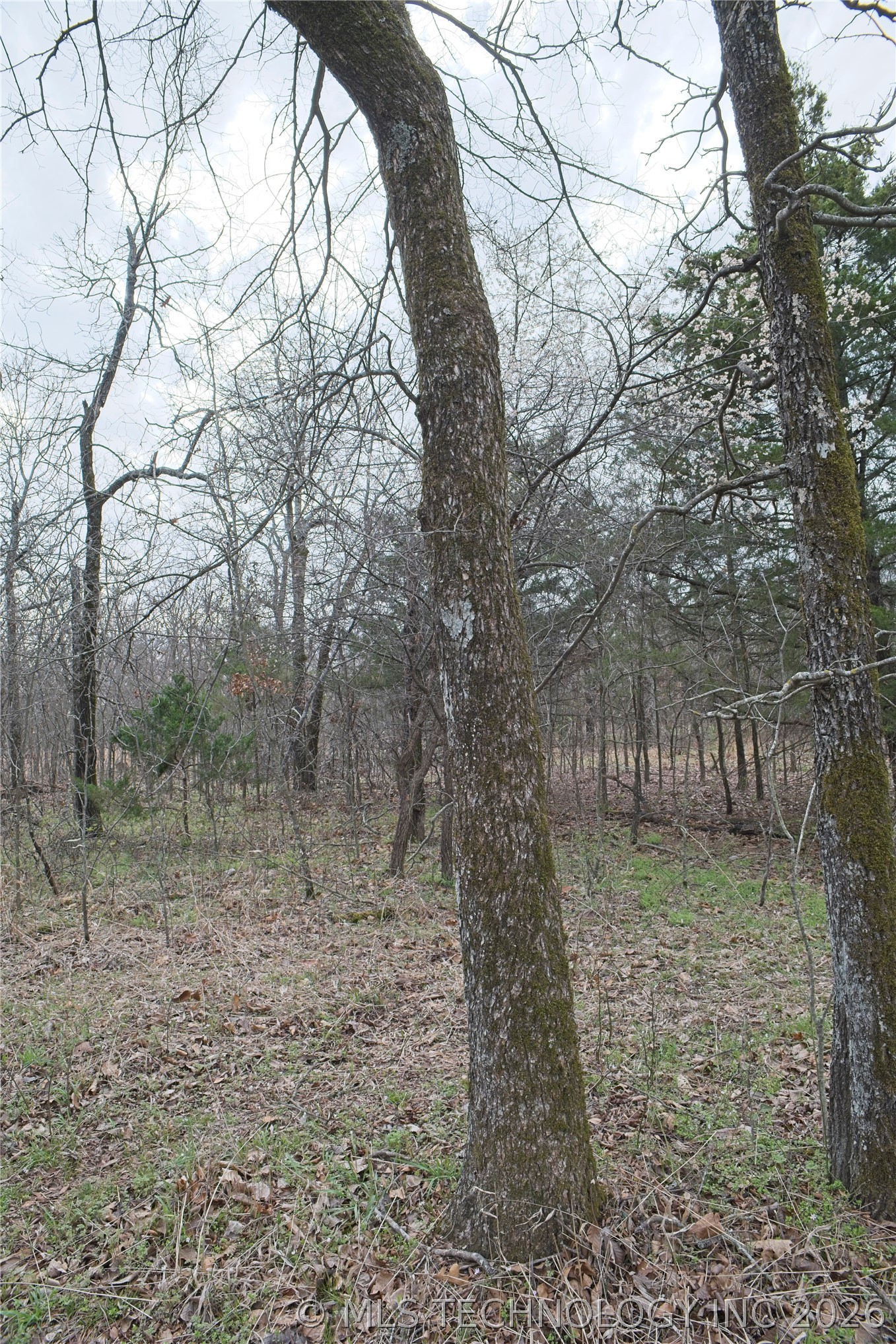 S 4549 Road Vian OK 74962