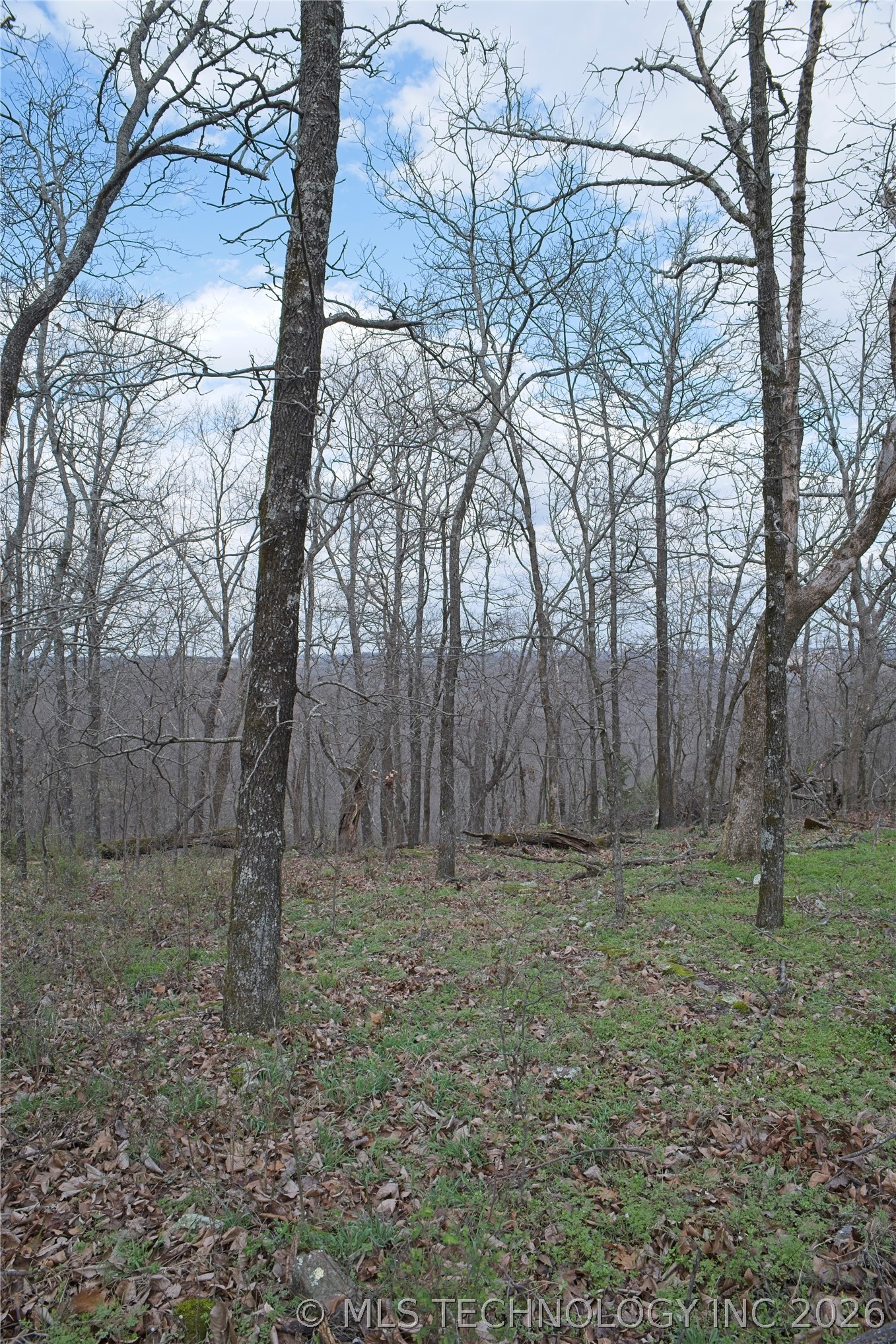 S 4549 Road Vian OK 74962