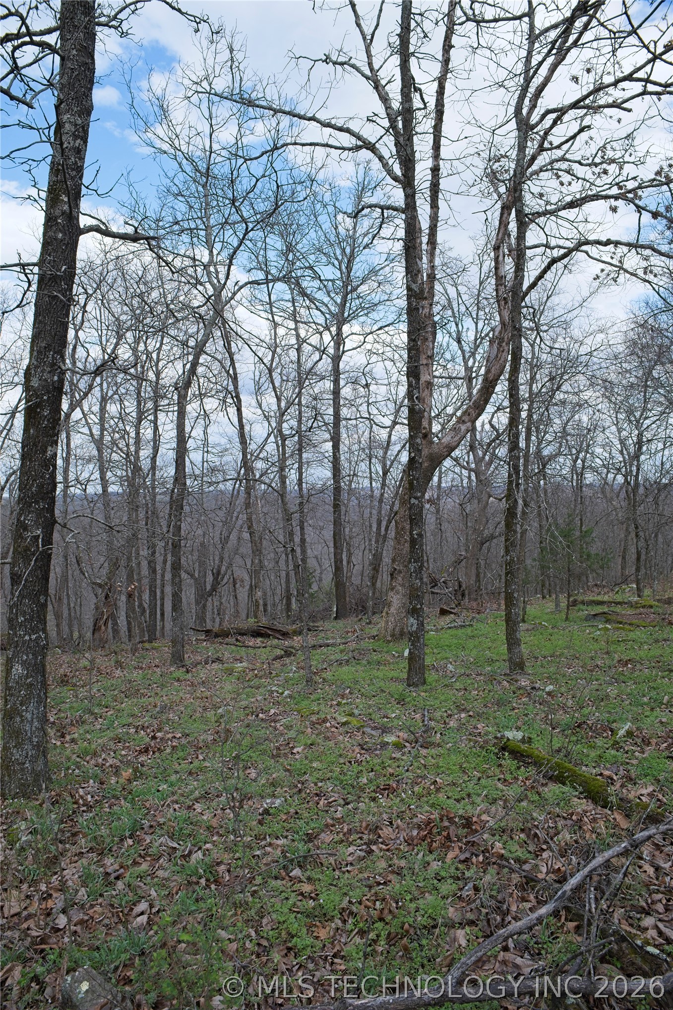 S 4549 Road Vian OK 74962