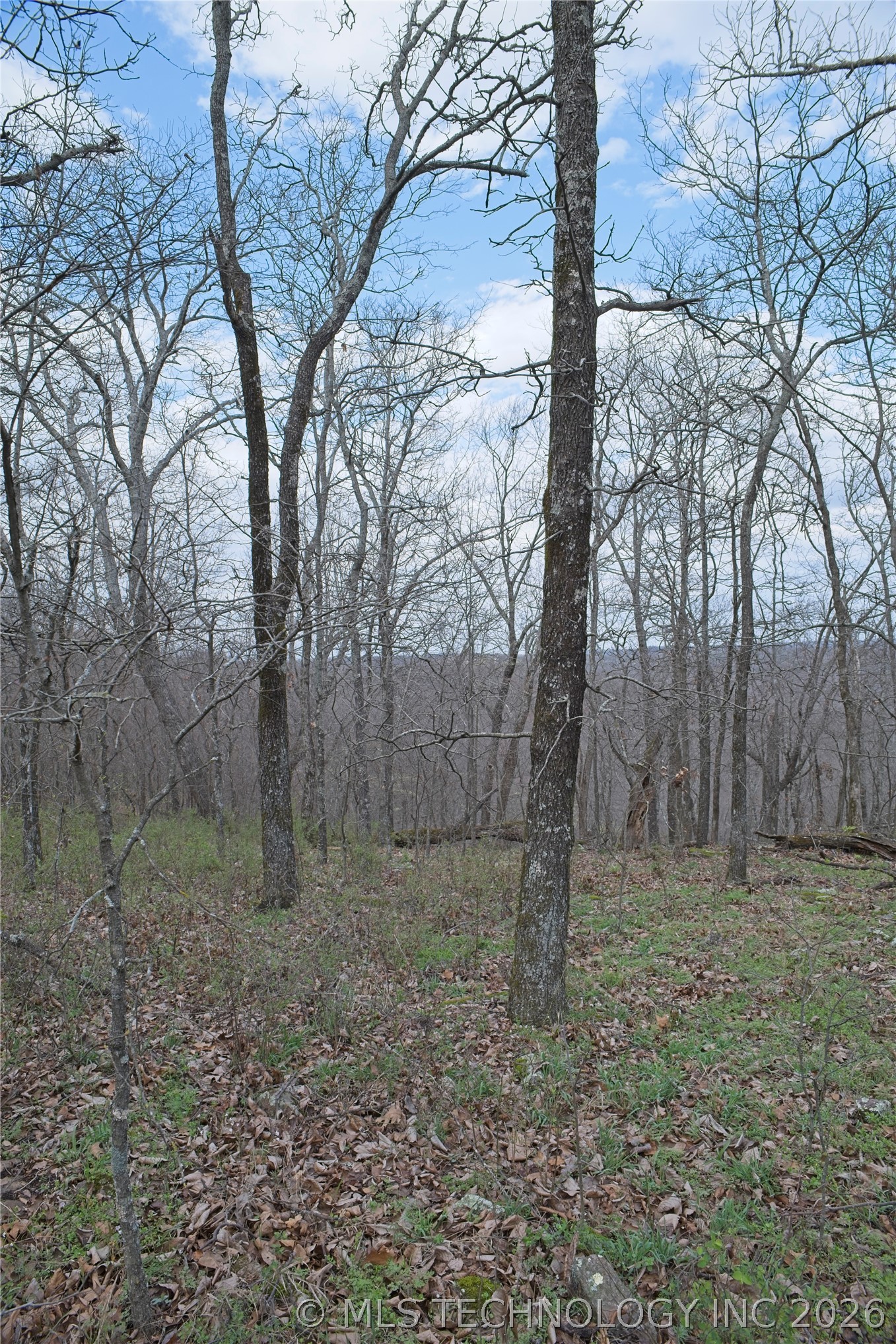 S 4549 Road Vian OK 74962