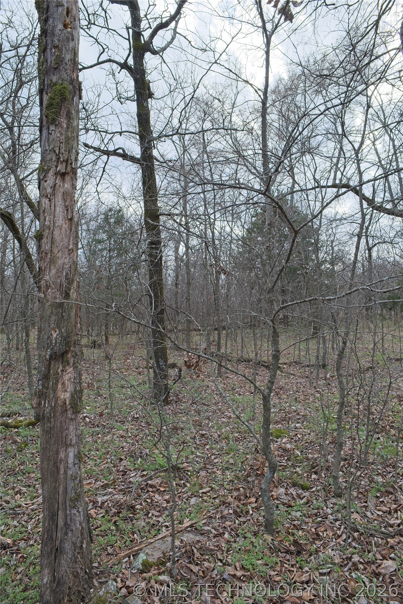S 4549 Road Vian OK 74962