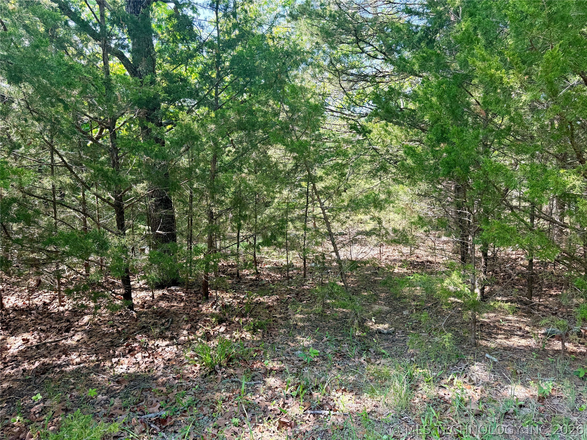 17 Council Tree Drive Canadian OK 74425