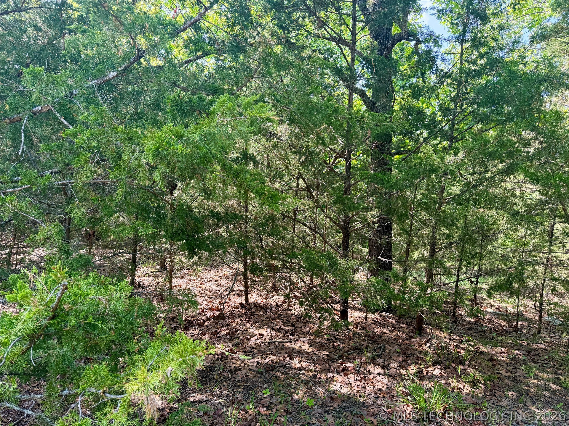 17 Council Tree Drive Canadian OK 74425