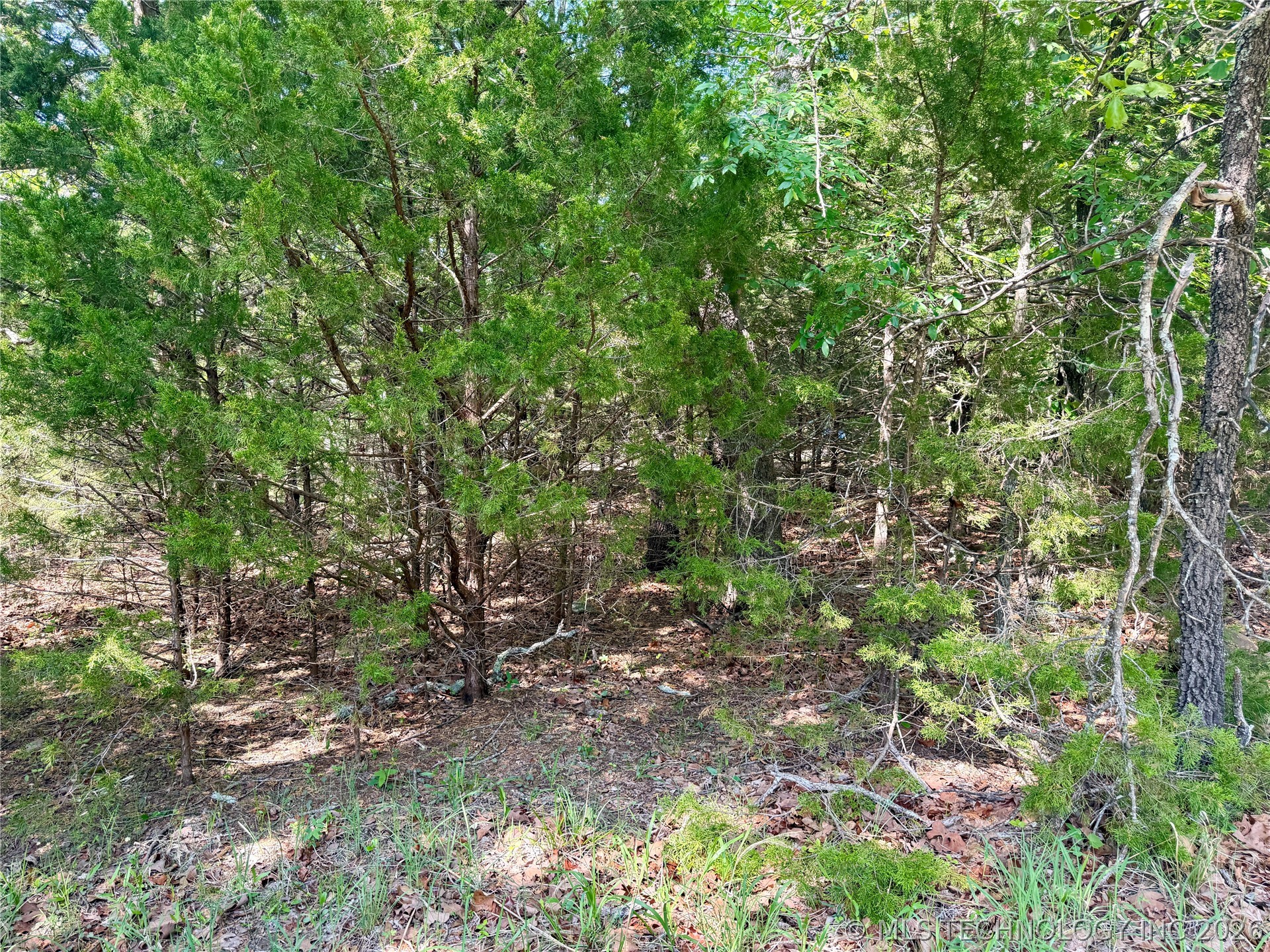 17 Council Tree Drive Canadian OK 74425