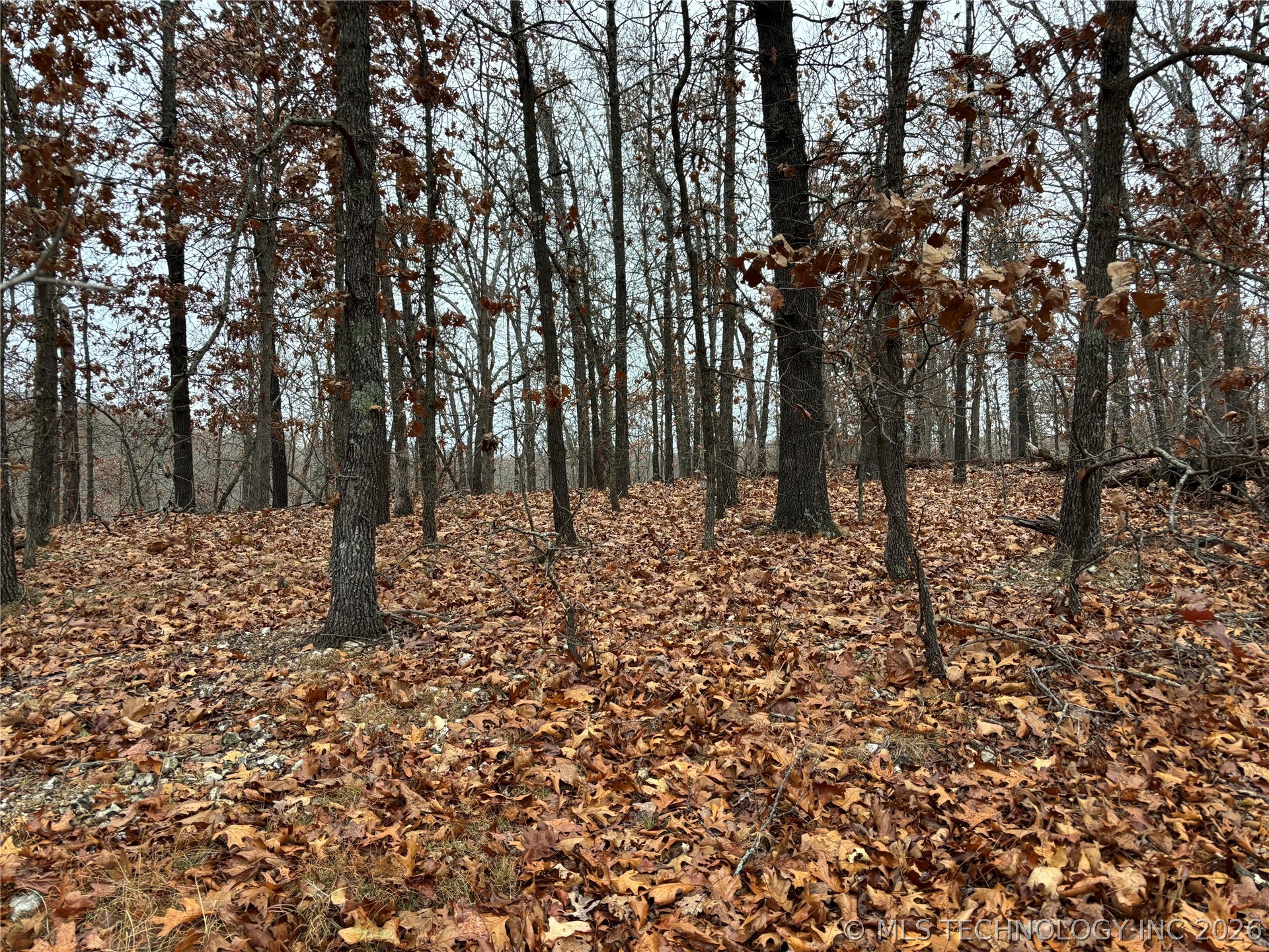 Acorn Ridge Westville OK 74457