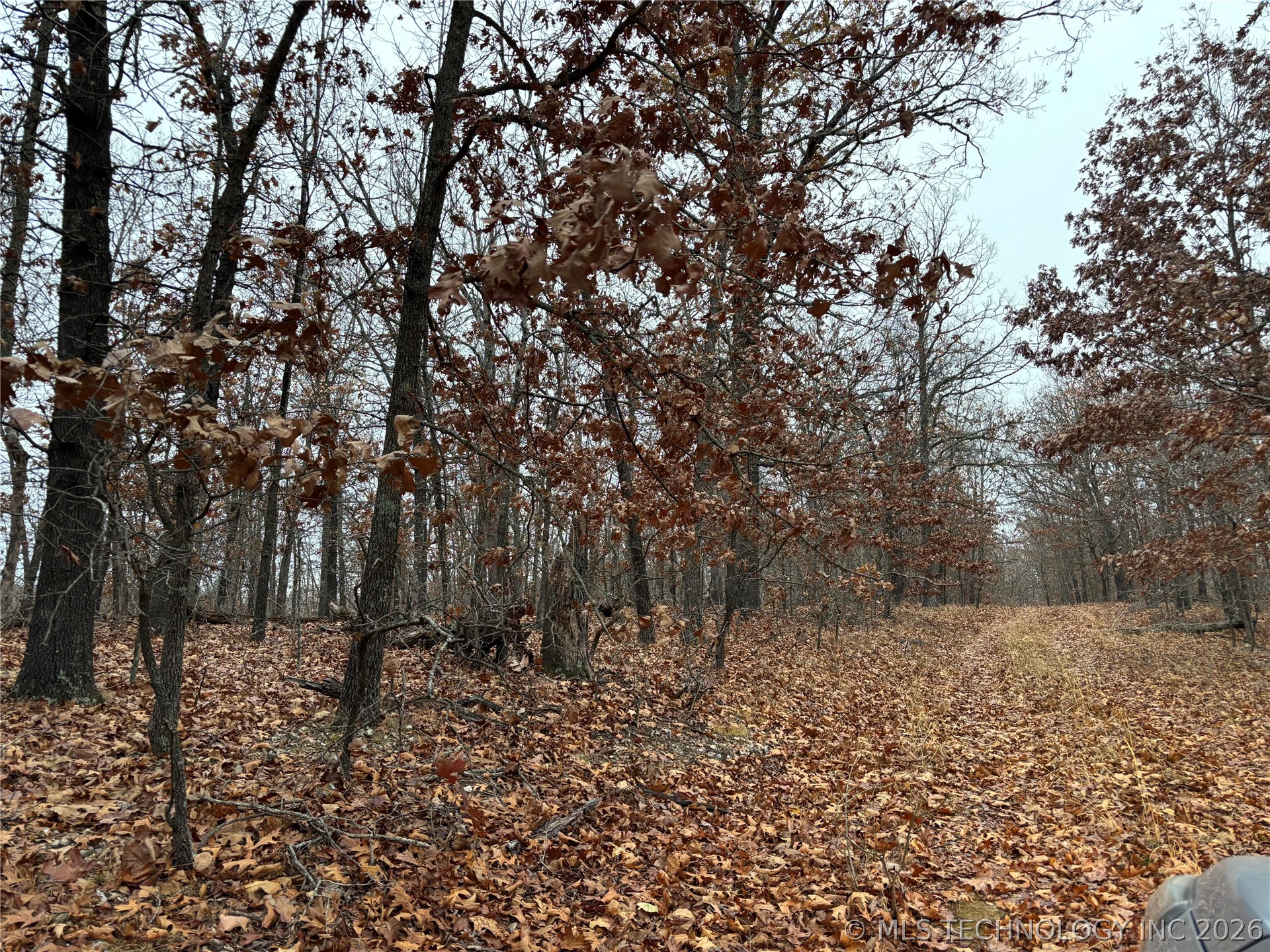 Acorn Ridge Westville OK 74457