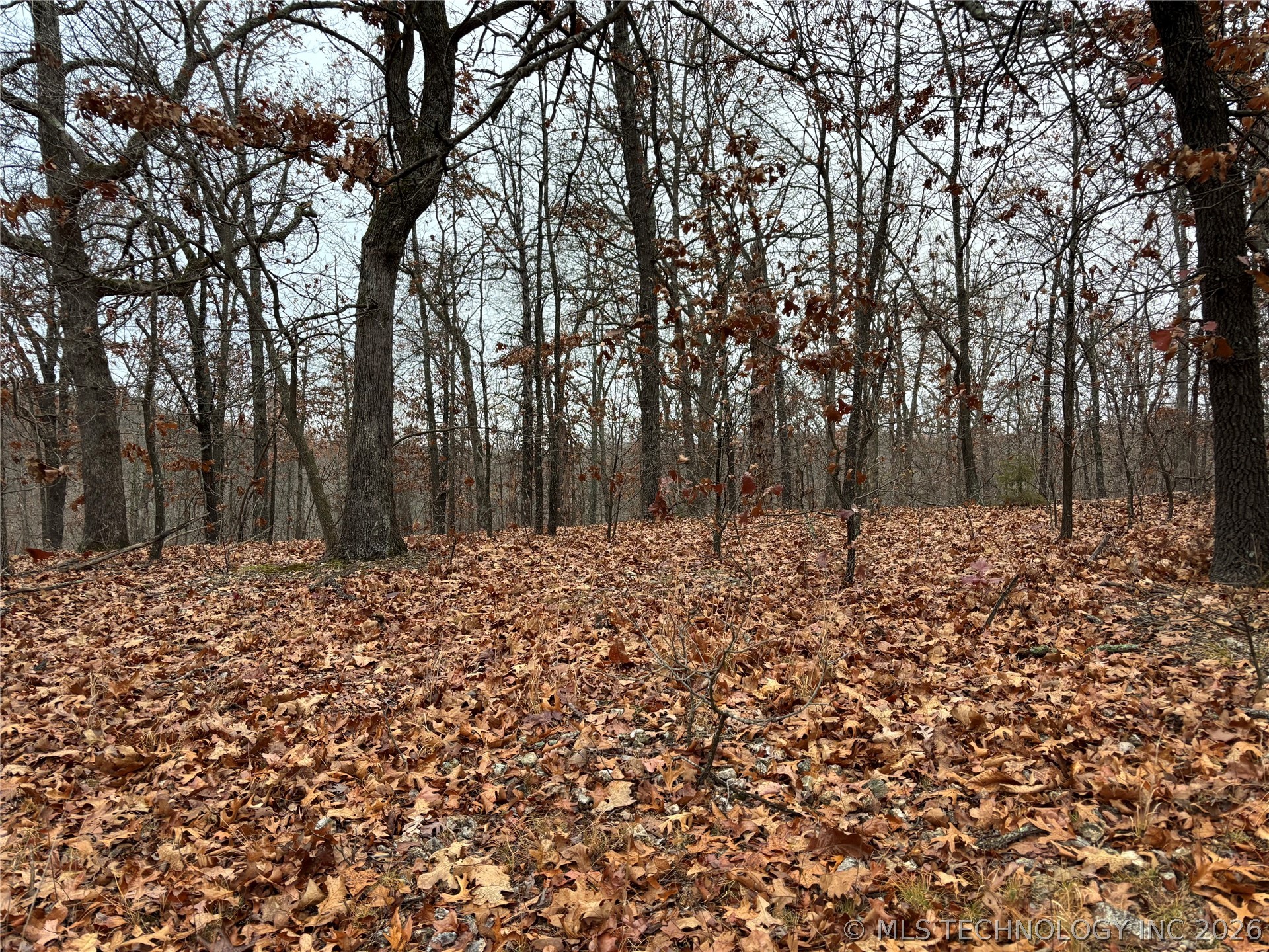 Acorn Ridge Westville OK 74457