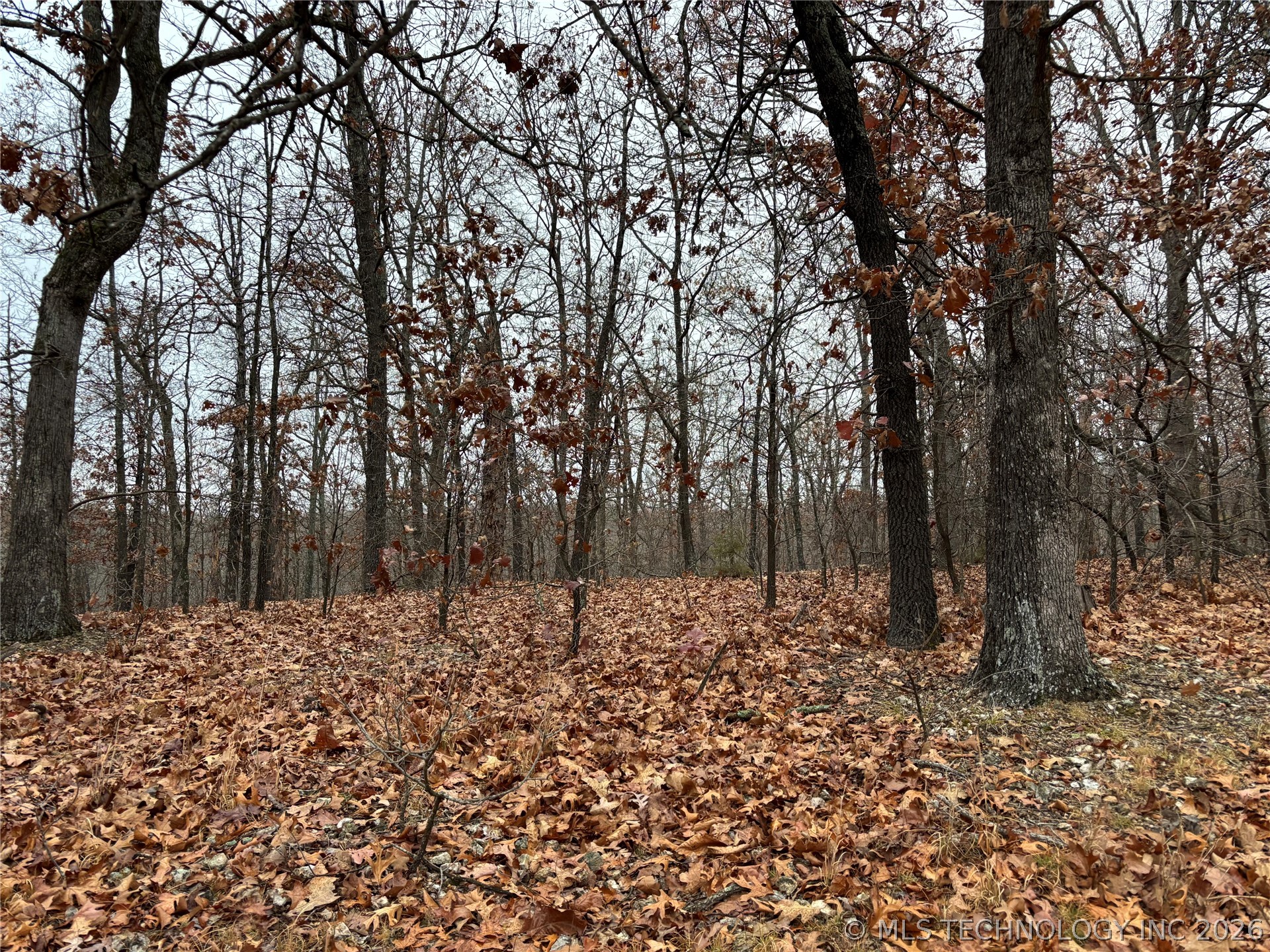 Acorn Ridge Westville OK 74457