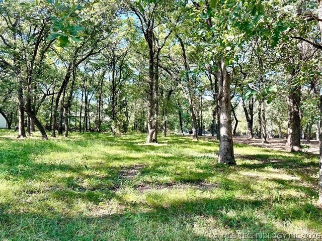 0 Treeline Trail Kingston OK 73439