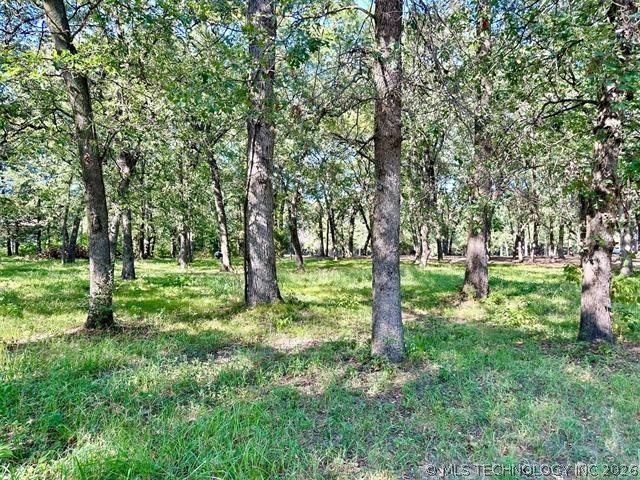 0 Treeline Trail Kingston OK 73439