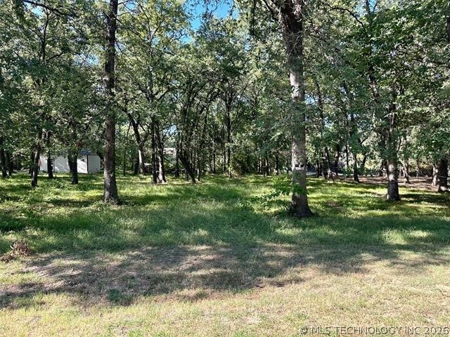 0 Treeline Trail Kingston OK 73439