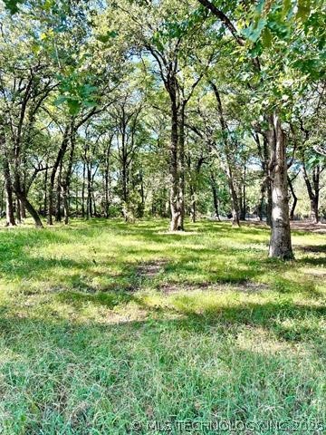 0 Treeline Trail Kingston OK 73439
