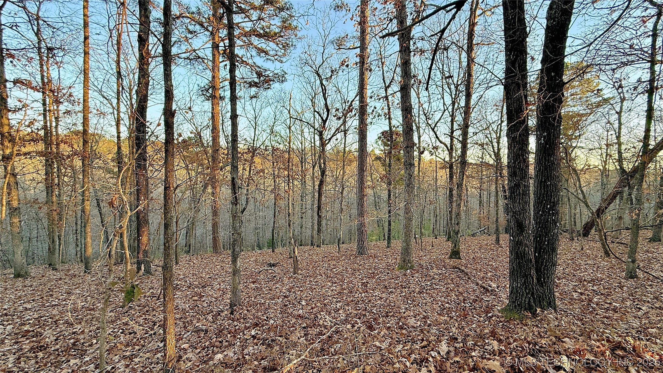 246 Red Fox Trail Kansas OK 74347
