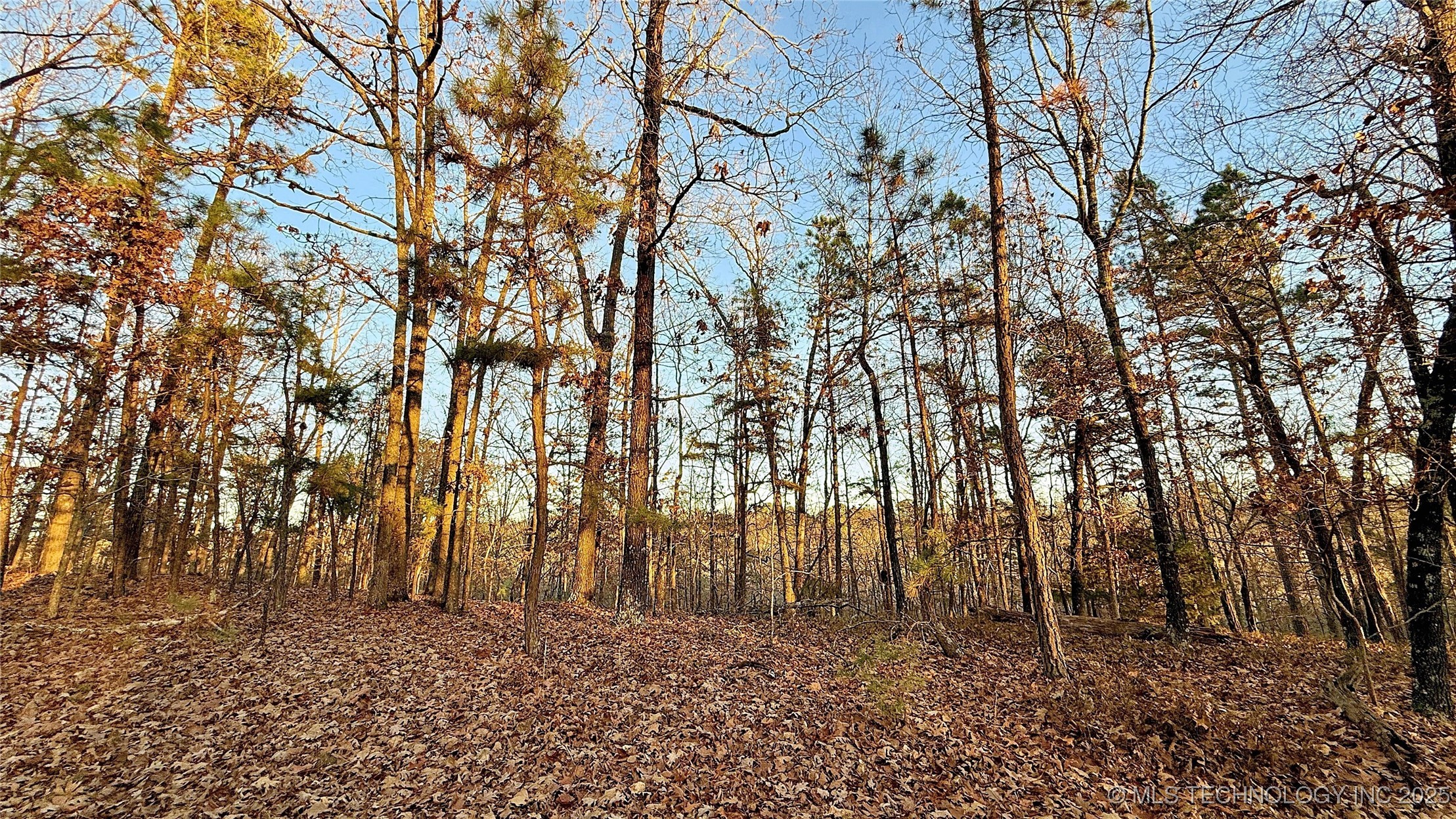 246 Red Fox Trail Kansas OK 74347