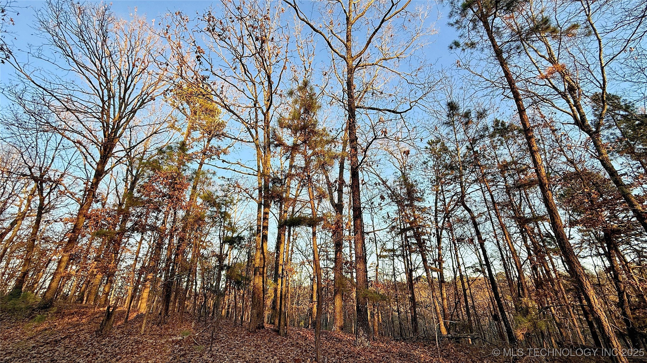 246 Red Fox Trail Kansas OK 74347