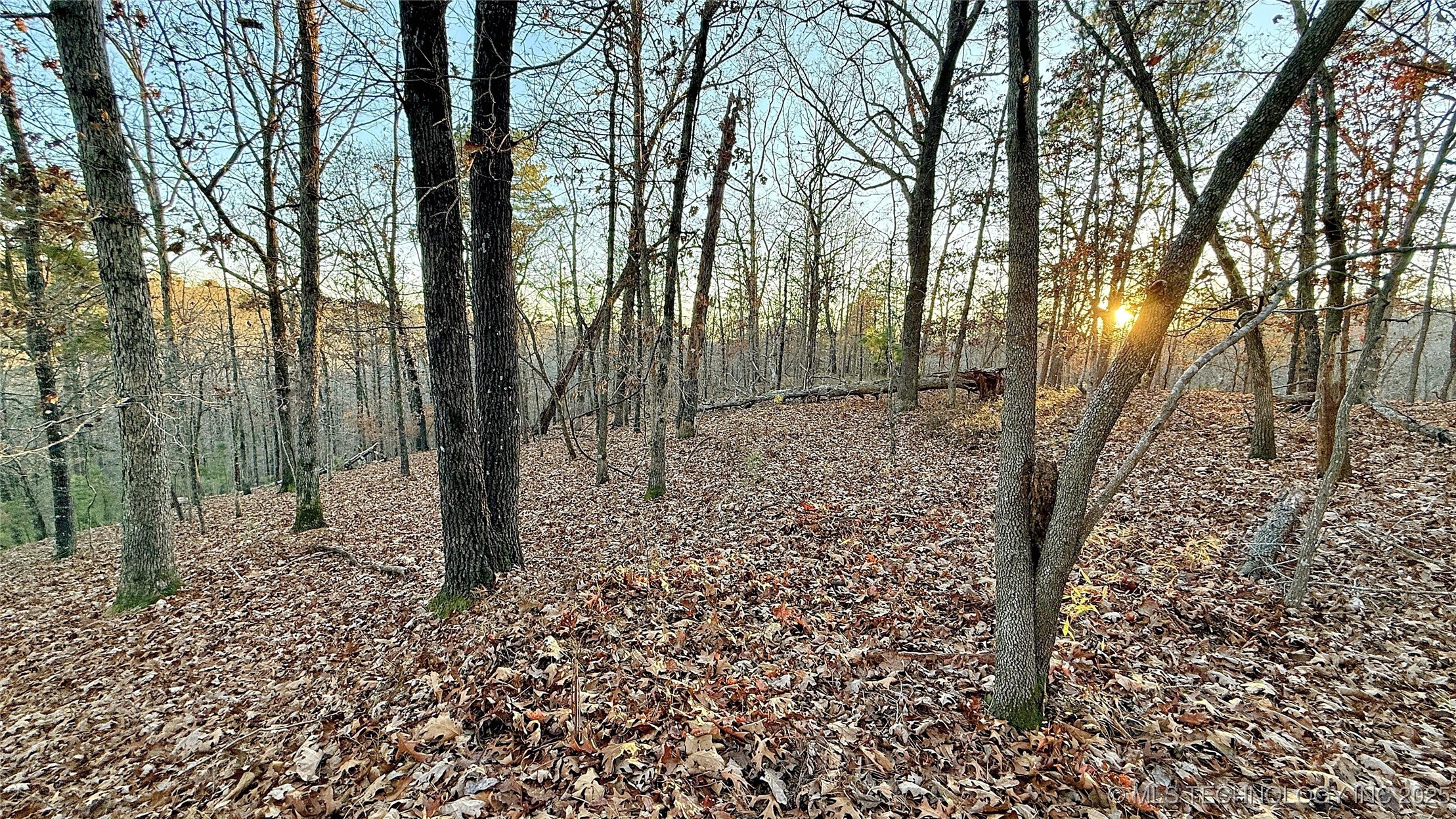 246 Red Fox Trail Kansas OK 74347