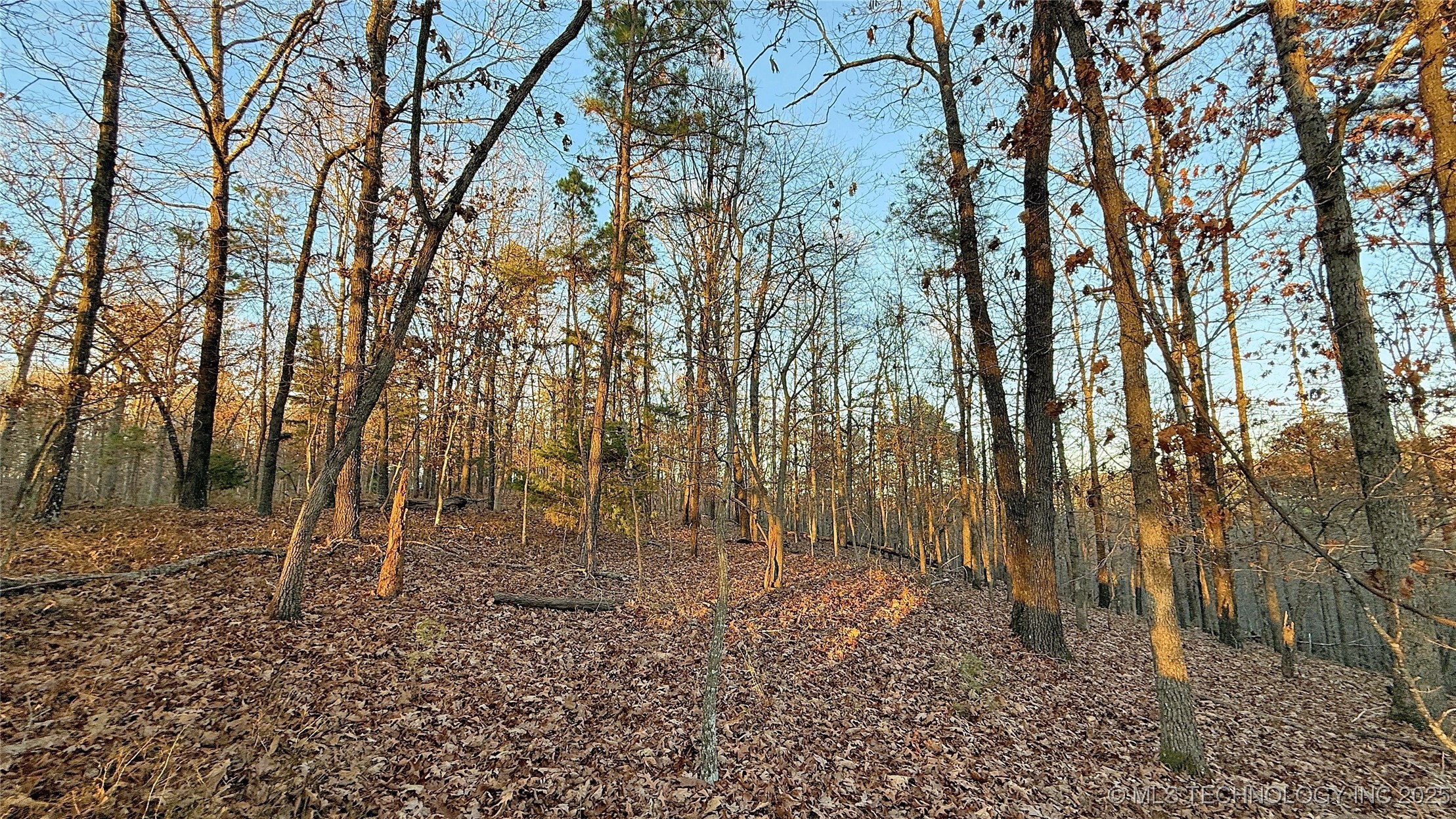 246 Red Fox Trail Kansas OK 74347