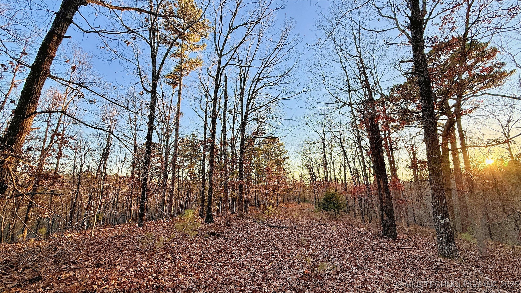 246 Red Fox Trail Kansas OK 74347