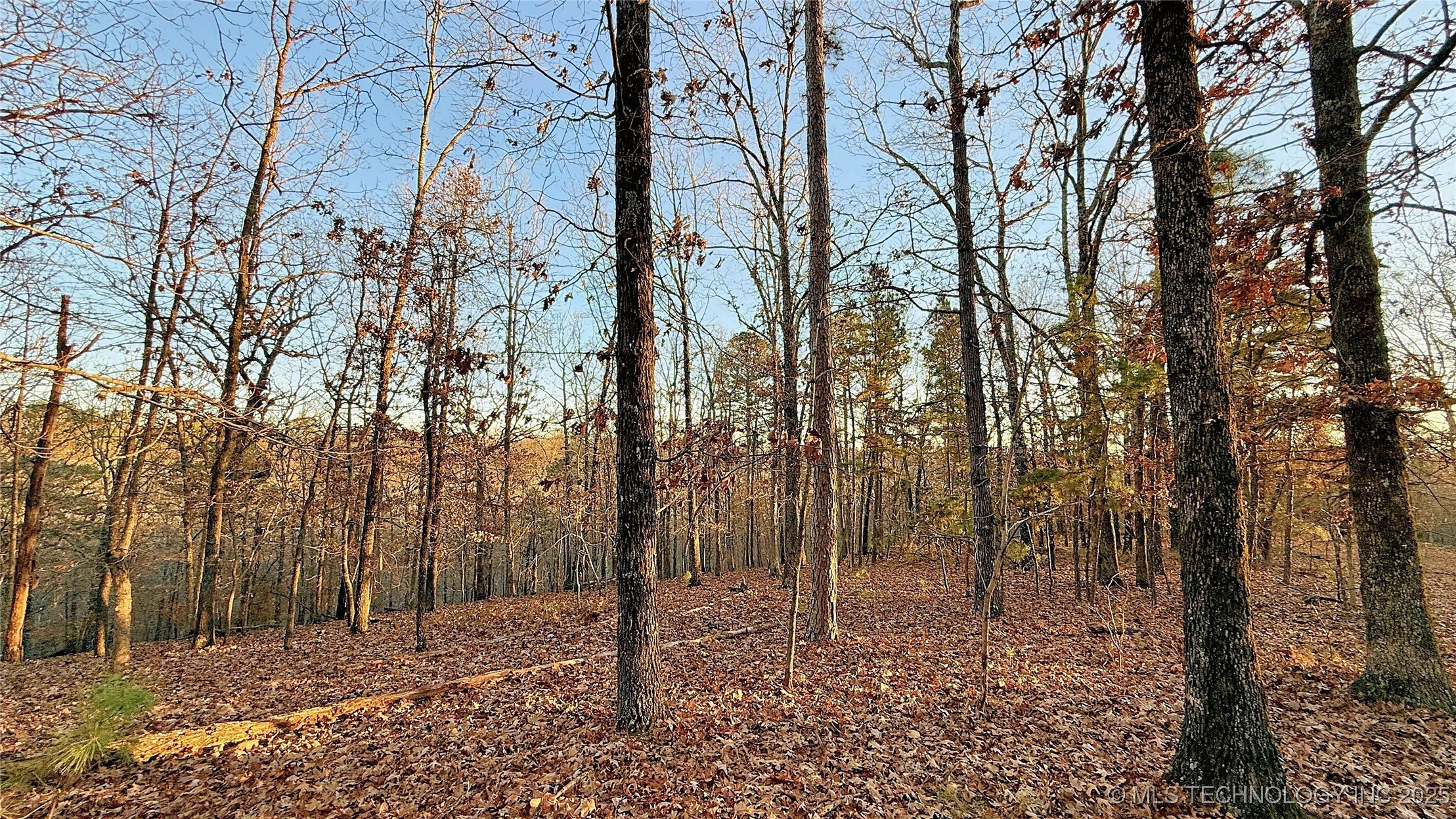 246 Red Fox Trail Kansas OK 74347