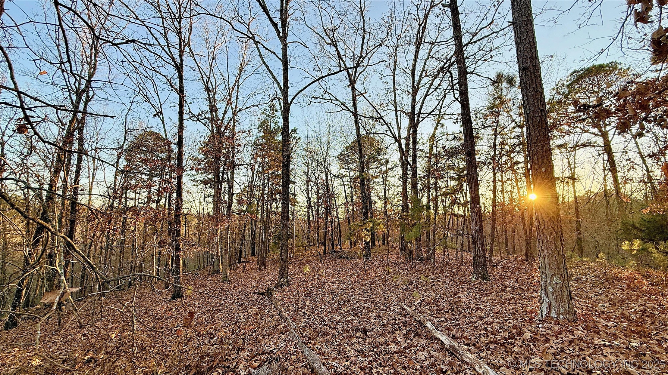 246 Red Fox Trail Kansas OK 74347