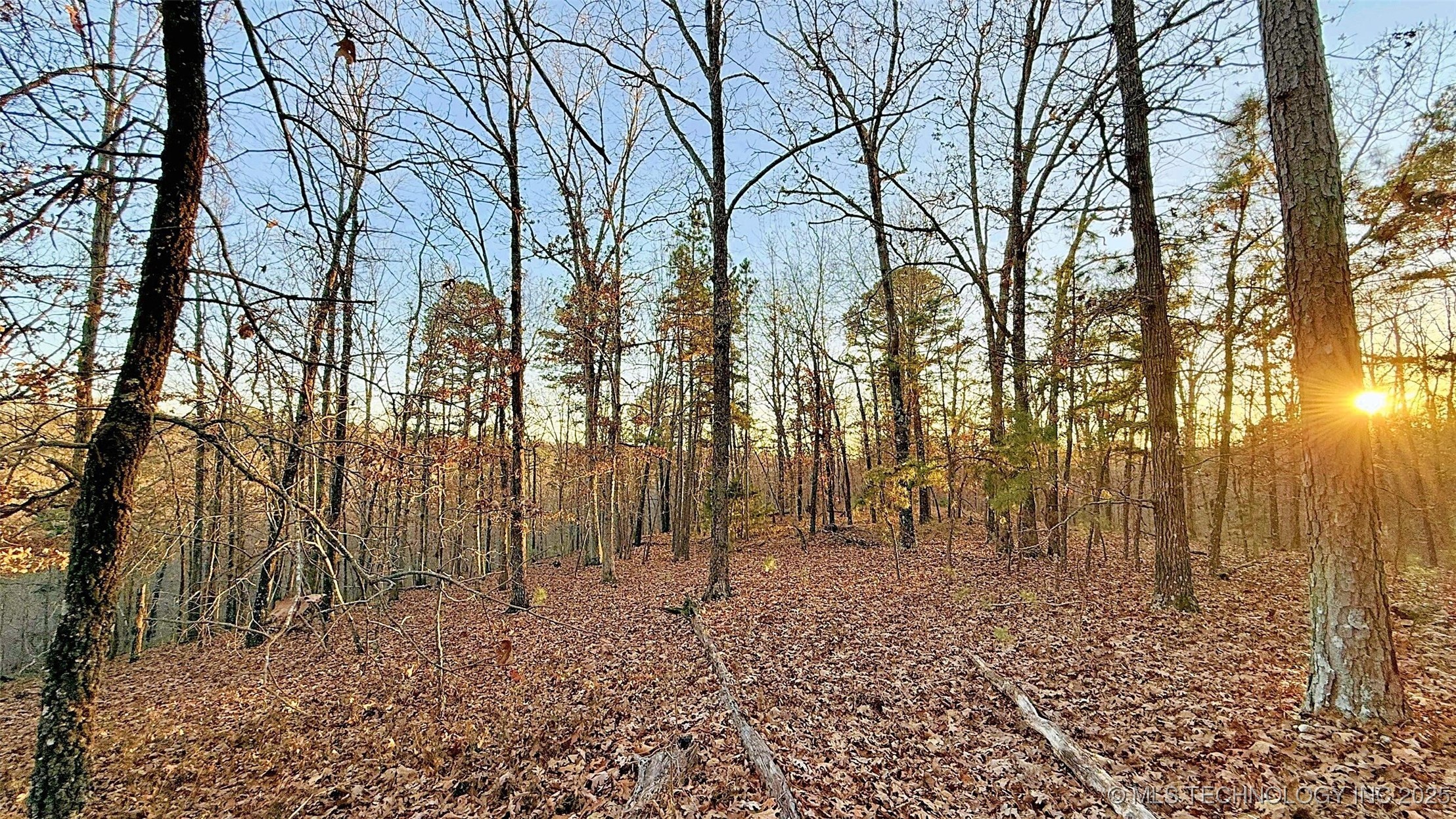 246 Red Fox Trail Kansas OK 74347