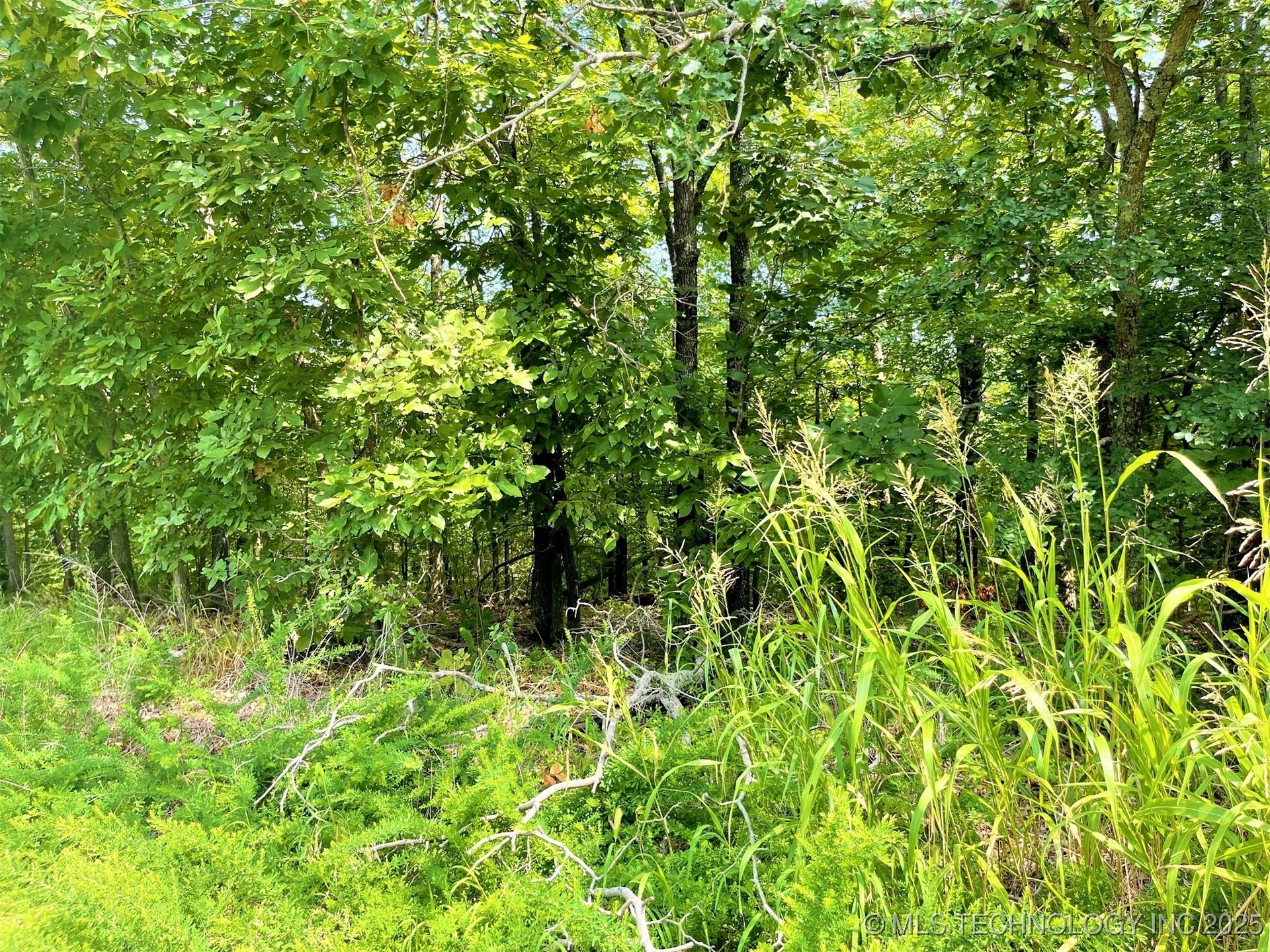 W Canyon Rock Road Park Hill OK 74427