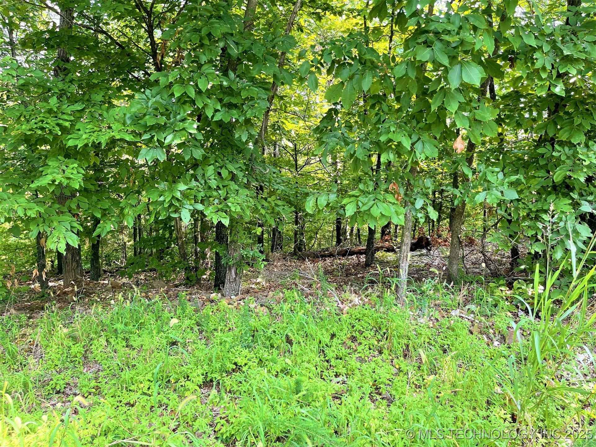 W Canyon Rock Road Park Hill OK 74427