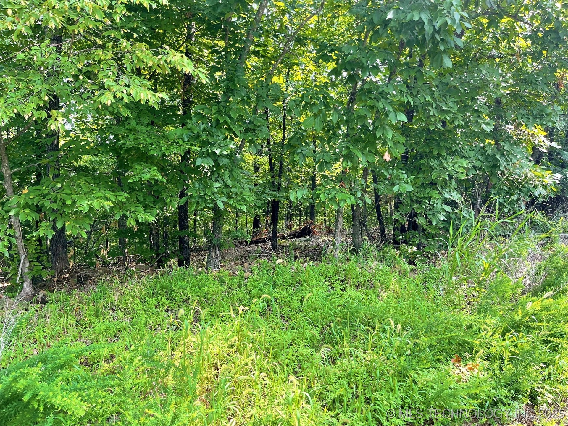 W Canyon Rock Road Park Hill OK 74427