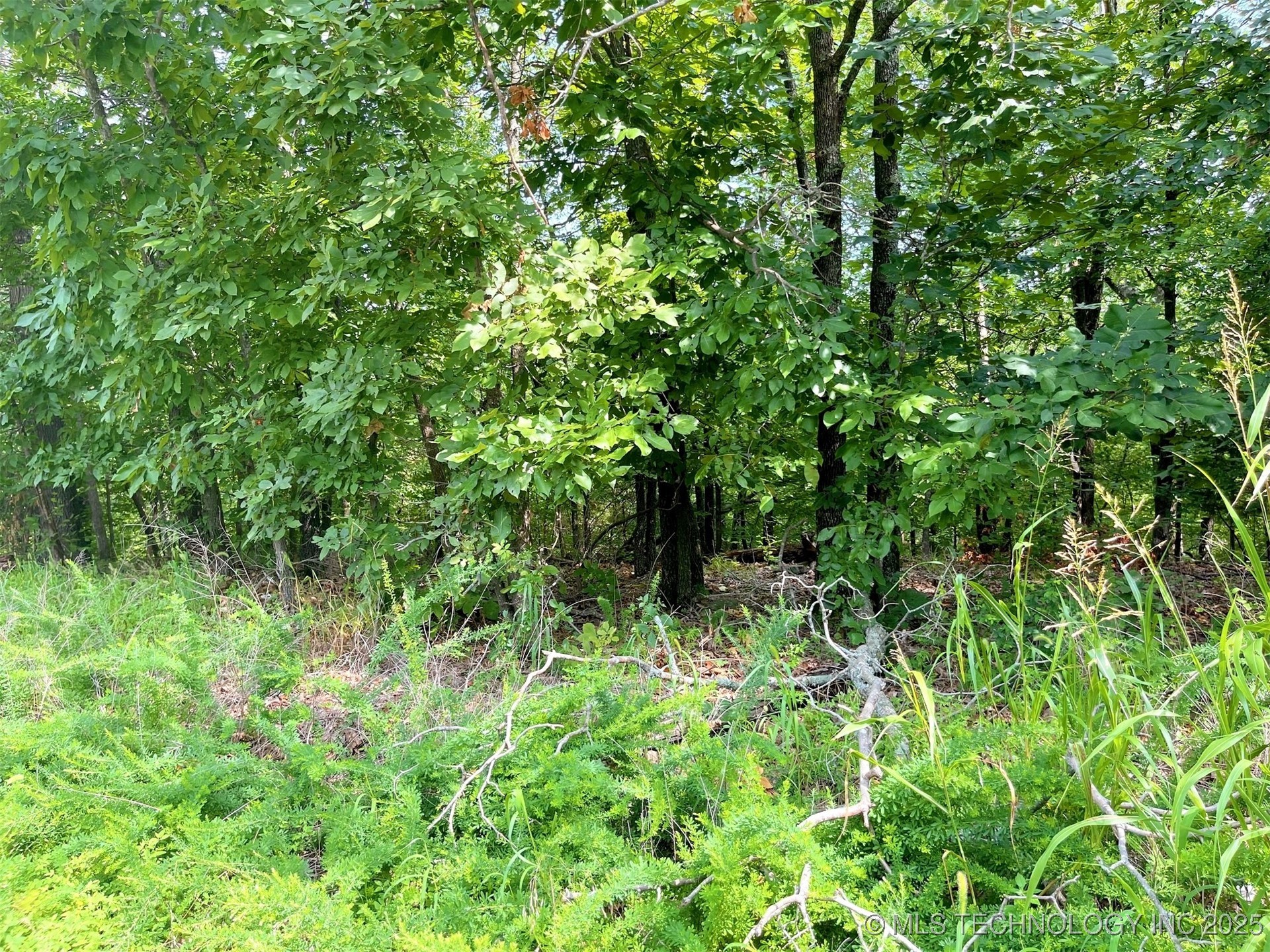 W Canyon Rock Road Park Hill OK 74427