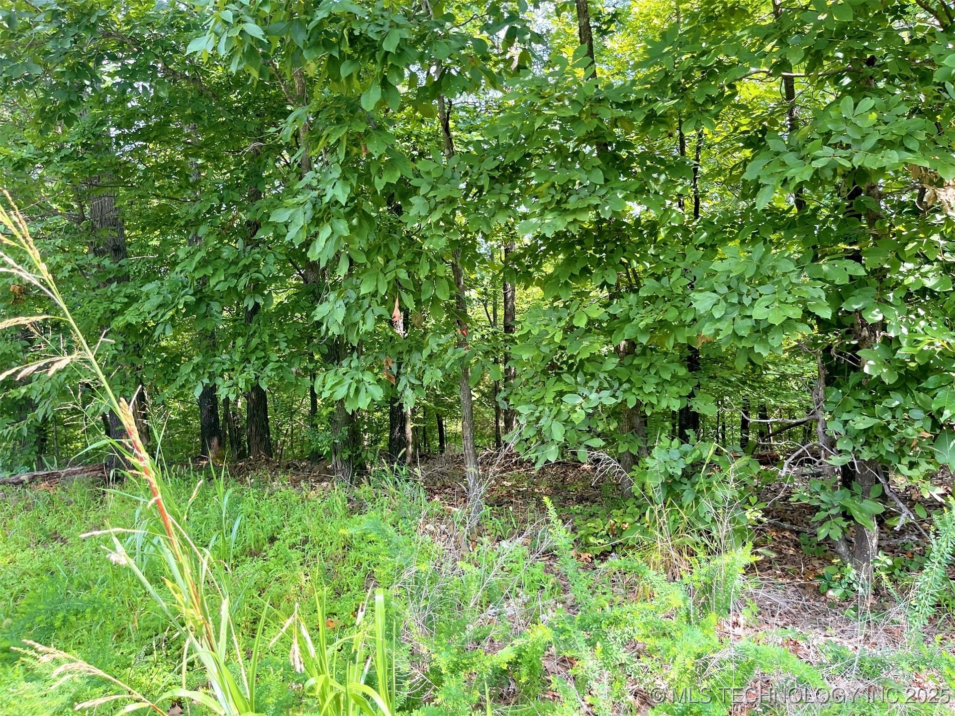 W Canyon Rock Road Park Hill OK 74427