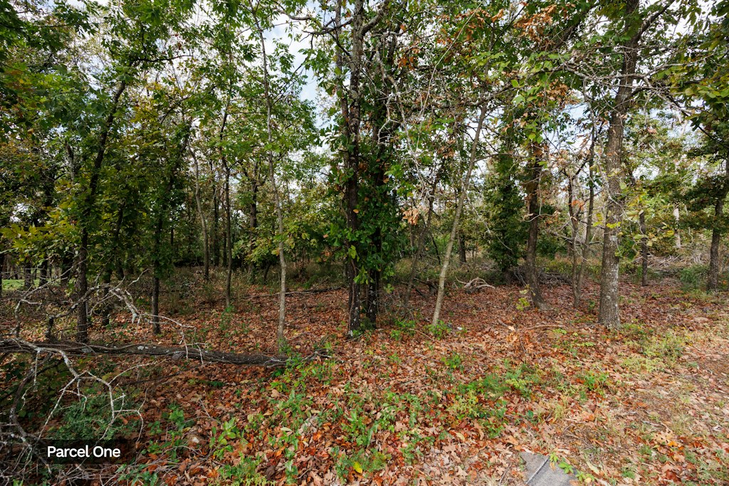 SW Mountain Road Bartlesville OK 74003