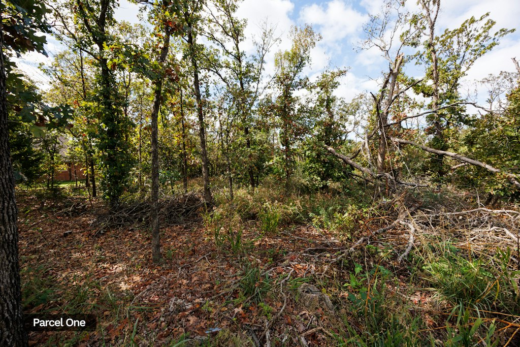 SW Mountain Road Bartlesville OK 74003