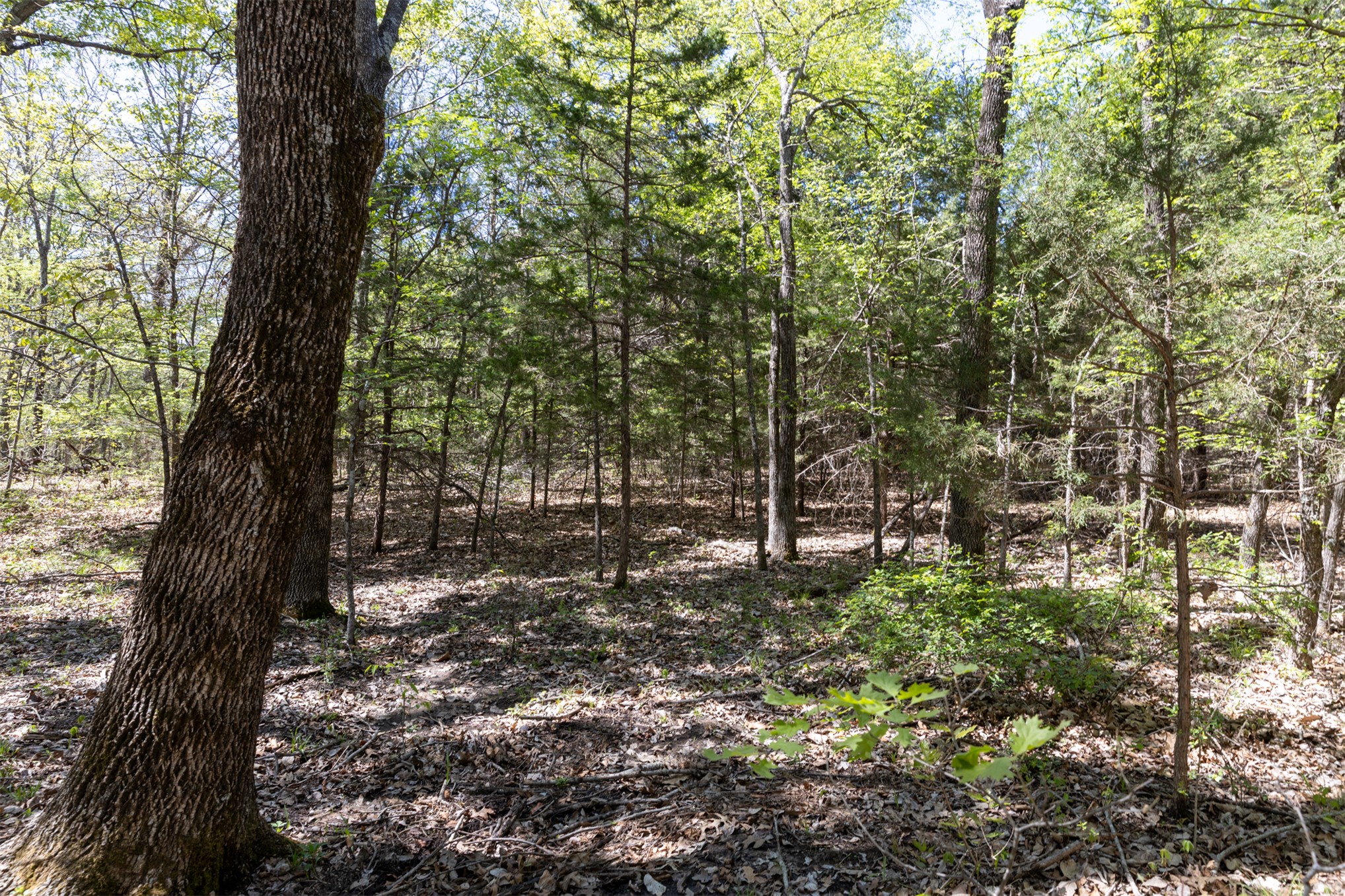 3 E 1180 Road Okemah OK 74859